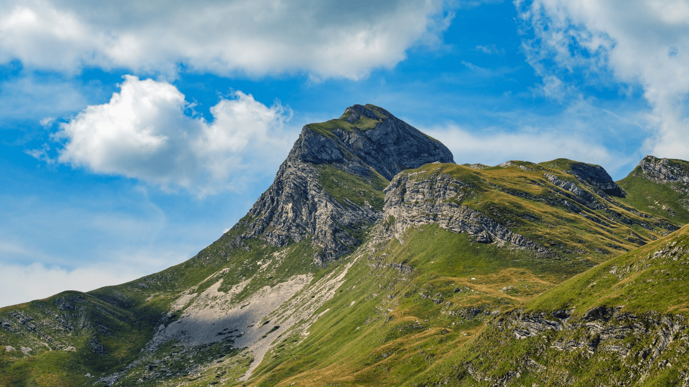 Robieco instagram template (6) (1)