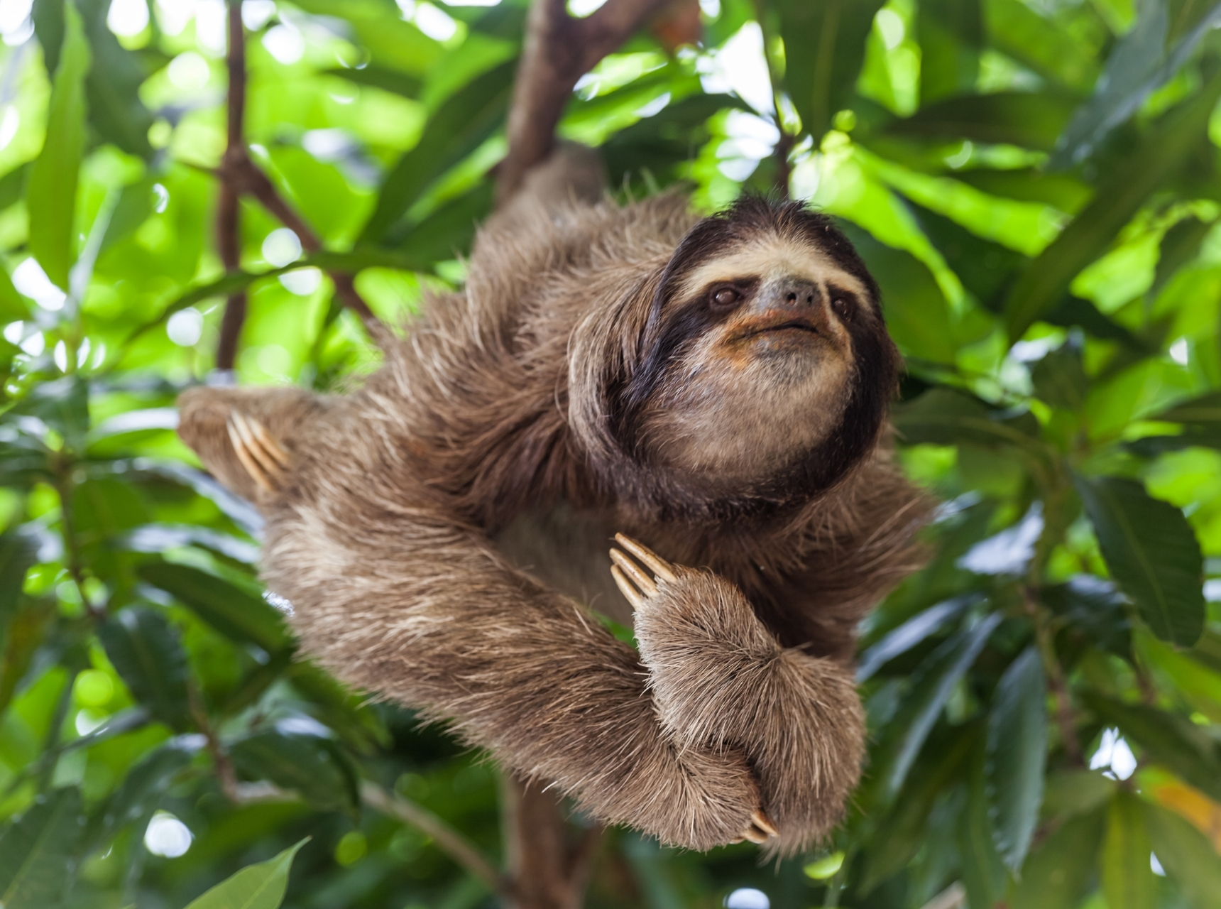 Robieco instagram template (Instagram-bericht (45)) (18)