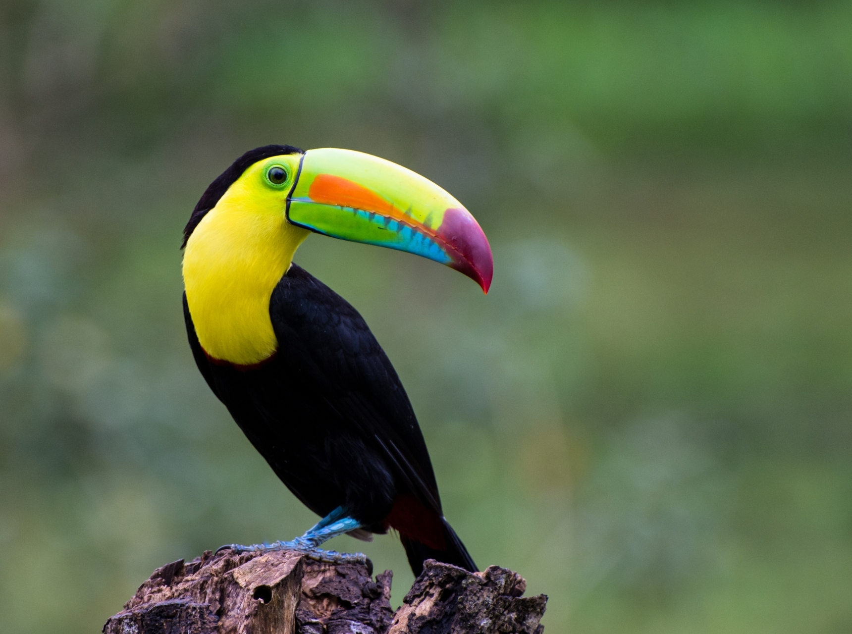 Robieco instagram template (Instagram-bericht (45)) (19)