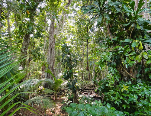 Robieco instagram template (Instagram-bericht (45)) (29)